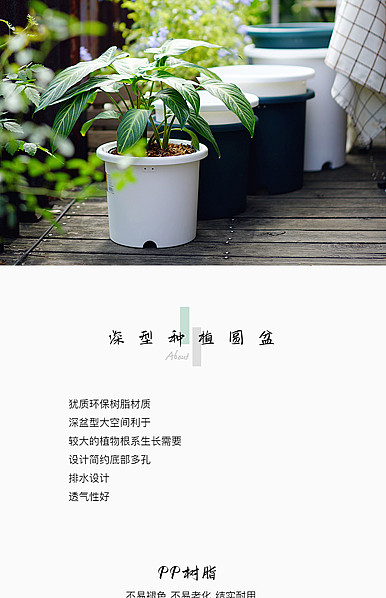  简约小文艺风格鲜花园艺、园艺用品等详情描述模板