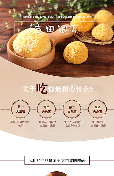  棕色系古典中国风格食品、银耳、干货等详情模板