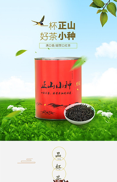  绿野仙踪绿色茶叶、保健用品、干货、美食等详情描述模板