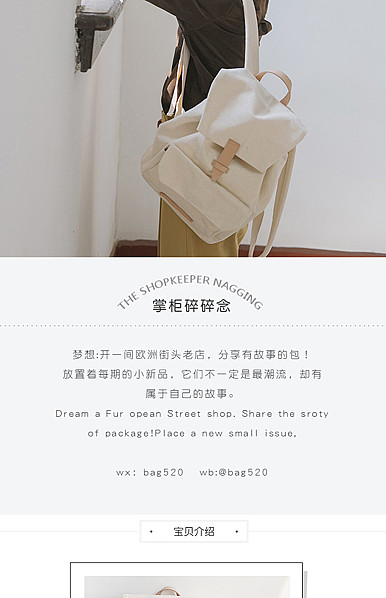  简约素雅风女包详情描述模板