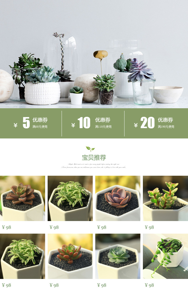  多肉植物、绿色植物、园林、鲜花等详情页头共享模板