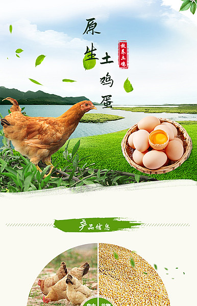  新鲜鸡蛋、原生土鸡蛋、干货、食品、特产详情描述模板