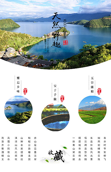  天然野趣美食行业干货、零食、特产等详情描述页头共享模板