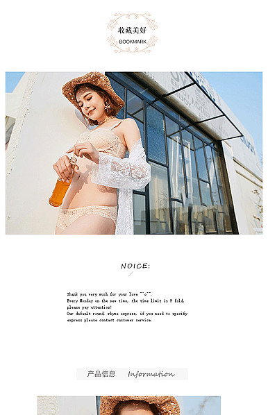  简约风格时尚内衣、胸章、文胸等产品行业详情描述模板