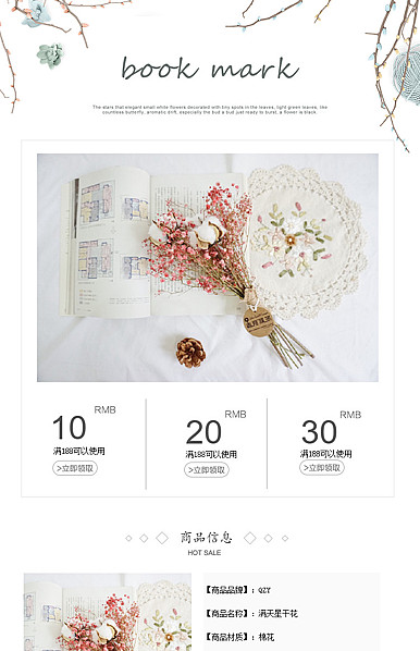  简约素雅风格鲜花园艺、干花、化妆美容详情模板